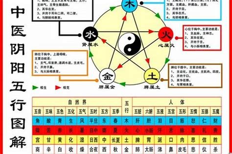 1984年生肖五行|1984年属鼠是什么命，84年出生五行属什么